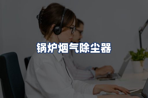 锅炉烟气除尘器